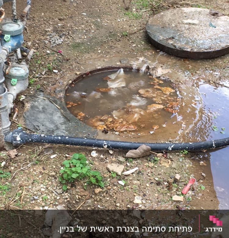 בור ביוב פתוח עם מים עומדים